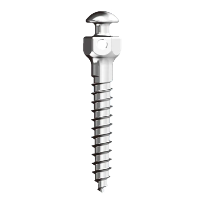 Sgriwiau Mini Orthodonteg